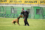Waild Marinchuk K-9