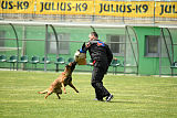 Waild Marinchuk K-9