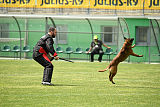 Waild Marinchuk K-9