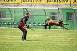 Waild Marinchuk K-9