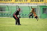Waild Marinchuk K-9