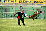 Waild Marinchuk K-9