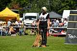 Abby belgischer Wolf von Malihattan