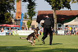 Duke vom Spektefeld