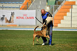Avonwolf Al Capone Keith