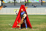 Avonwolf Al Capone Keith