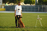 Reunion (FCI) Constantin Anoubis