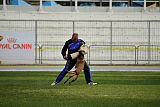 Neli Running Wild