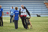 Aramis Red Devils Dog