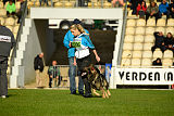 Duke vom Spektefeld