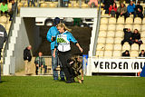 Duke vom Spektefeld
