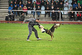 Kwaxy vom Wolfsheim