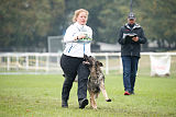 Bushido von Hund und Sport