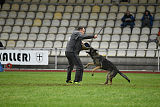 Bushido von Hund und Sport