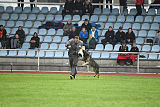 Bushido von Hund und Sport