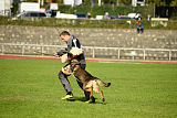 Jari vom Rothaarpark