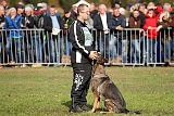 Baghira vom Wolfsstolz