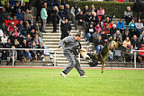 Baghira vom Wolfsstolz