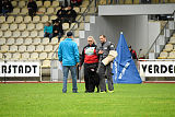 King vom Tim Thaler