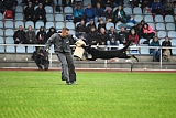 Vee vom Kammberg