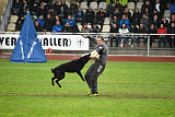 Atos vom Alpaland