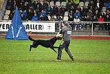 Atos vom Alpaland