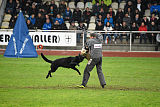 Atos vom Alpaland