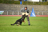 Lamar vom Wolfsheim