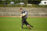Lamar vom Wolfsheim