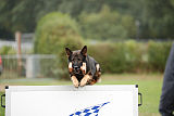 Chicco vom Weinbergblick