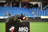 Aik vom Wolfsursprung