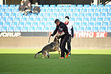 Dammit vom wilden Hexenkessel