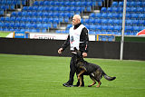 Elk von Daechsel
