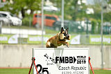 Cadha Force Canina