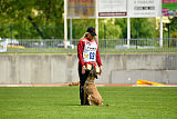 Cadha Force Canina