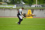 Neli Running Wild
