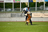 Axel Marshall Dogs