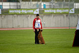 Axel Marshall Dogs