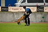 Delia Force Canina