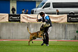 As'Thor Force Canina