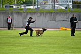 As'Thor Force Canina
