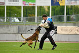 Bolt van Kluggenheim