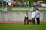 Bolt van Kluggenheim