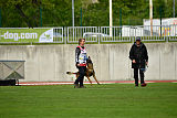 Bolt van Kluggenheim