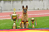 Siegerehrung, Victory Ceremony