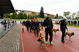 Siegerehrung, Victory Ceremony