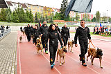 Siegerehrung, Victory Ceremony