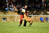 Baxx vom roten Drachen