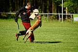 Wespe vom Further Moor