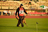 Rotten Running Wild